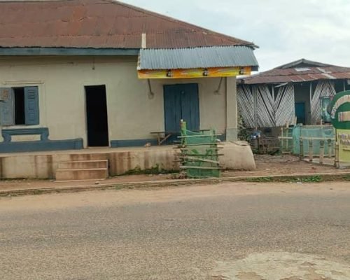 WhatsApp Image 2025-02-18 at 19.21.45_42694450