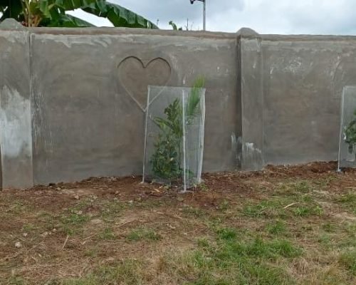 WhatsApp Image 2025-09-03 at 05.21.16_05ed9917